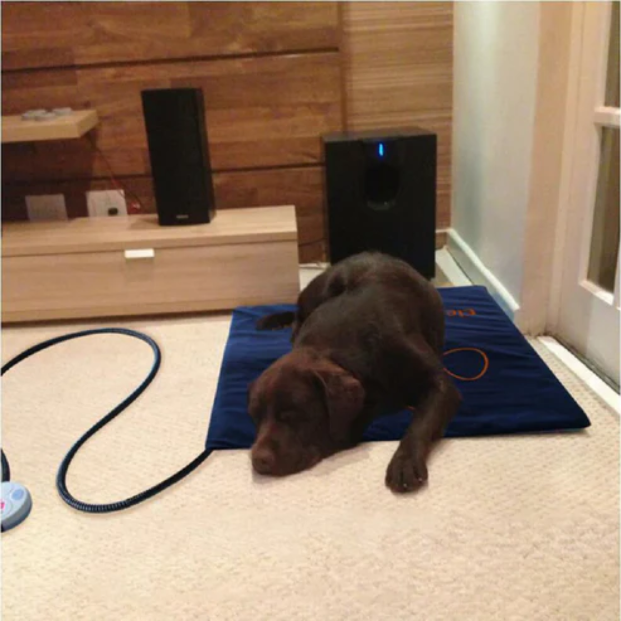 Soft Electric Heated Pet Mat