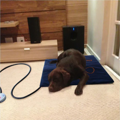 Soft Electric Heated Pet Mat